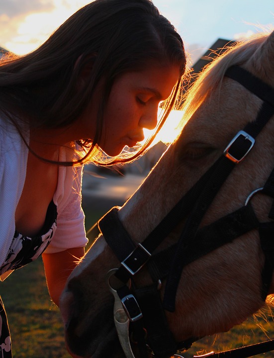Kärlek till häst
